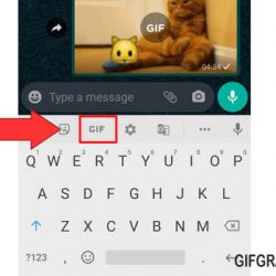 Penjelasan Aplikasi Giphy Dan Tenor Untuk Membuat GIF di WhatsApp