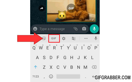 Penjelasan Aplikasi Giphy Dan Tenor Untuk Membuat GIF di WhatsApp
