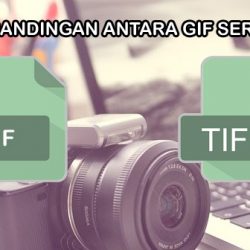 Perbandingan antara GIF serta TIFF